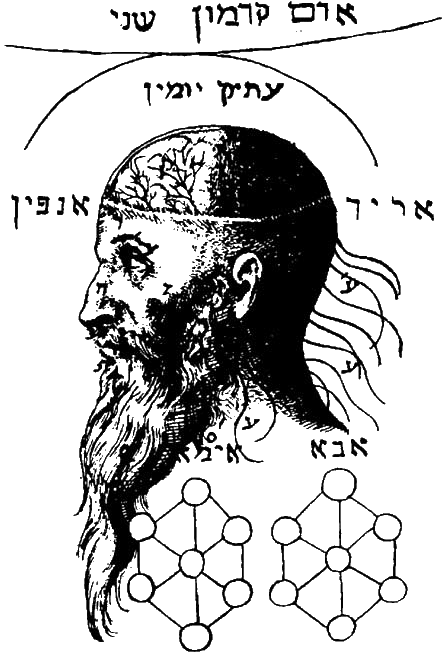 Kabbala Denudata (1677-84). El Gran Rostro.