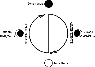 El ciclo de las cuatro fases de la Luna